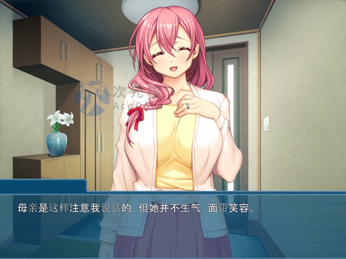 [ADV/汉化] 无法拒绝儿子的请求~角色扮演沉沦 AI汉化版+全CG存档★全CV400M
