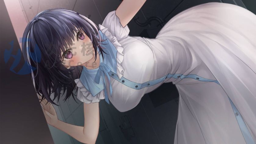 【SLG/PC/官中】 魅魔莉莉姆想要升级♥ 官中步兵版