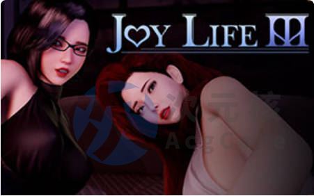 [pc/休闲卡牌]欢乐人生3 Joy Life 3 官方中文 最终版