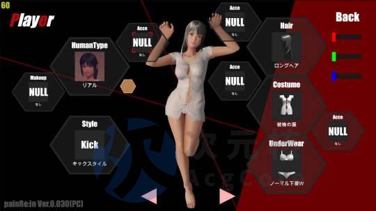 [3D格斗ACT/全动态] PainRein v0.067 PC+安卓 官方中文版 [4.6G]