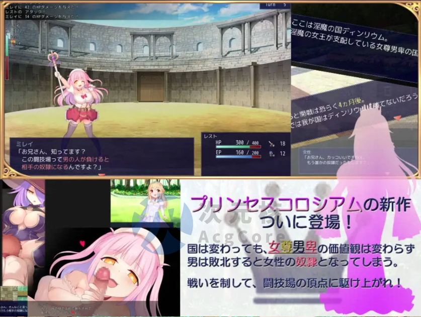 [RPG/汉化]公主竞技场2 挂载AI汉化版[新汉化] （プリンセスコロシアム2）