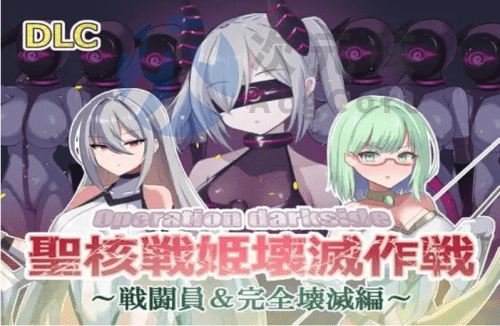[日式SLG/PC] 圣核战士公主破坏行动 聖核戦姫壊滅作戦 v1.7+DLC～机翻汉化 [900M]