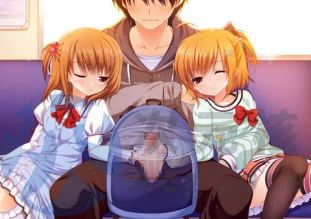 [拔作ADV/妹妹后宫/PC] 哥哥共享 お兄ちゃんシェアリング GPT3.5 机翻汉化版 [1.7G]