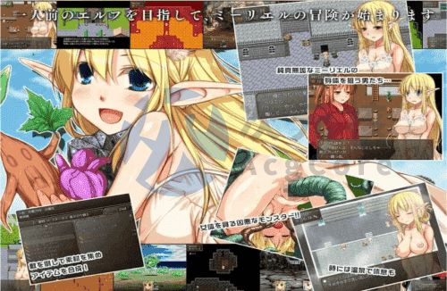 [RPG/官中] 药与魔法的米莉尔 薬と魔法のミーリエル Ver1.3.2 [393M]