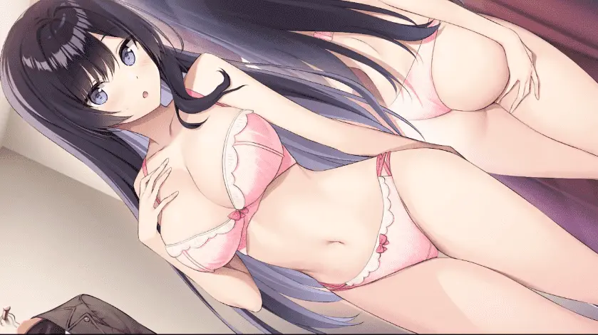 【日式拔作ADV/官中/动态】内衣售卖员 LingerieS ランジェリーズ V1.22+DLC 官方中文版【电脑】