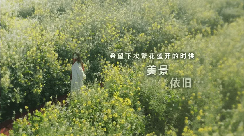 《这个是真的喜欢！(I’ve Fallen For You!)》|Build 16100067|中文|