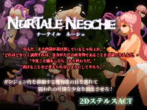 [更新ACT/官中/像素动态]纳泰尔·内舍 ナーテイル・ネーシェ v1.0.3.7