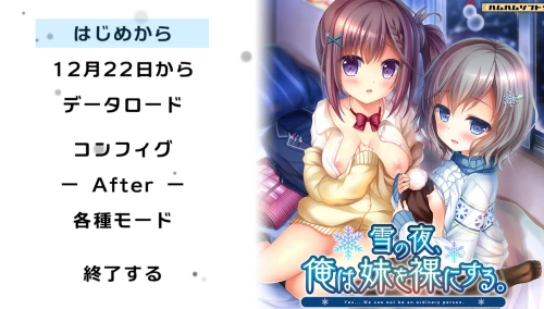 [ADV/PC/汉化]雪之夜,我将妹妹脱光衣服~雪の夜、俺は妹を菓にする