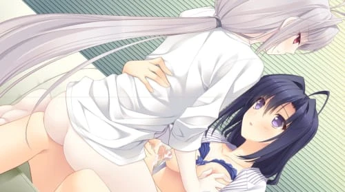 [ADV/官中/PC/女装]近月少女的礼仪2 月に寄りそう乙女の作法2 CV+全CG存档 2.67GB