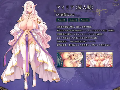 [ADV/汉化/PC]精灵公主回忆录：娼妓公主与亡国之梦（追加版）+全CG存档+特典