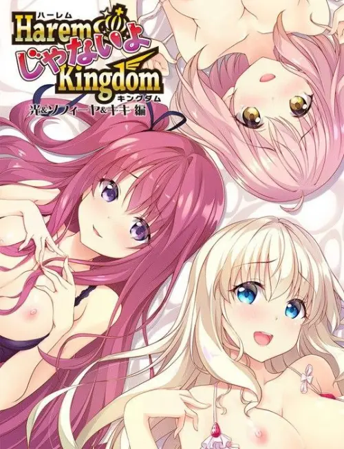 [ADV/汉化/PC/后宫]后宫王国 FD1 光、索菲娅、琪琪篇+全CG存档