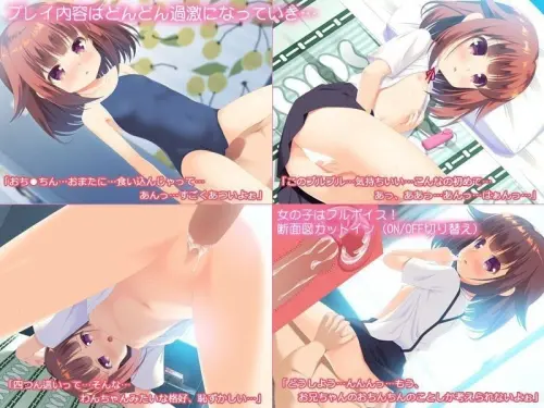 [ADV/汉化/PC/妹/萝莉]妹妹风俗